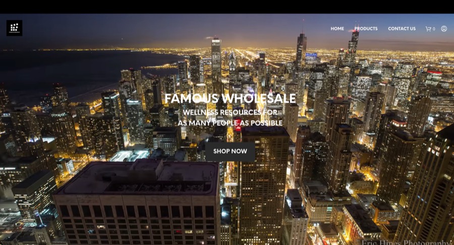 Famous Wholesale